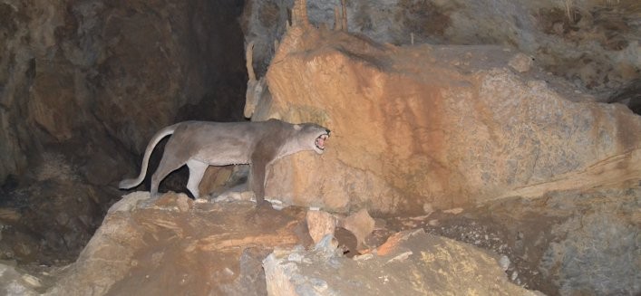 arrikrutz-onatiko-kobak-01