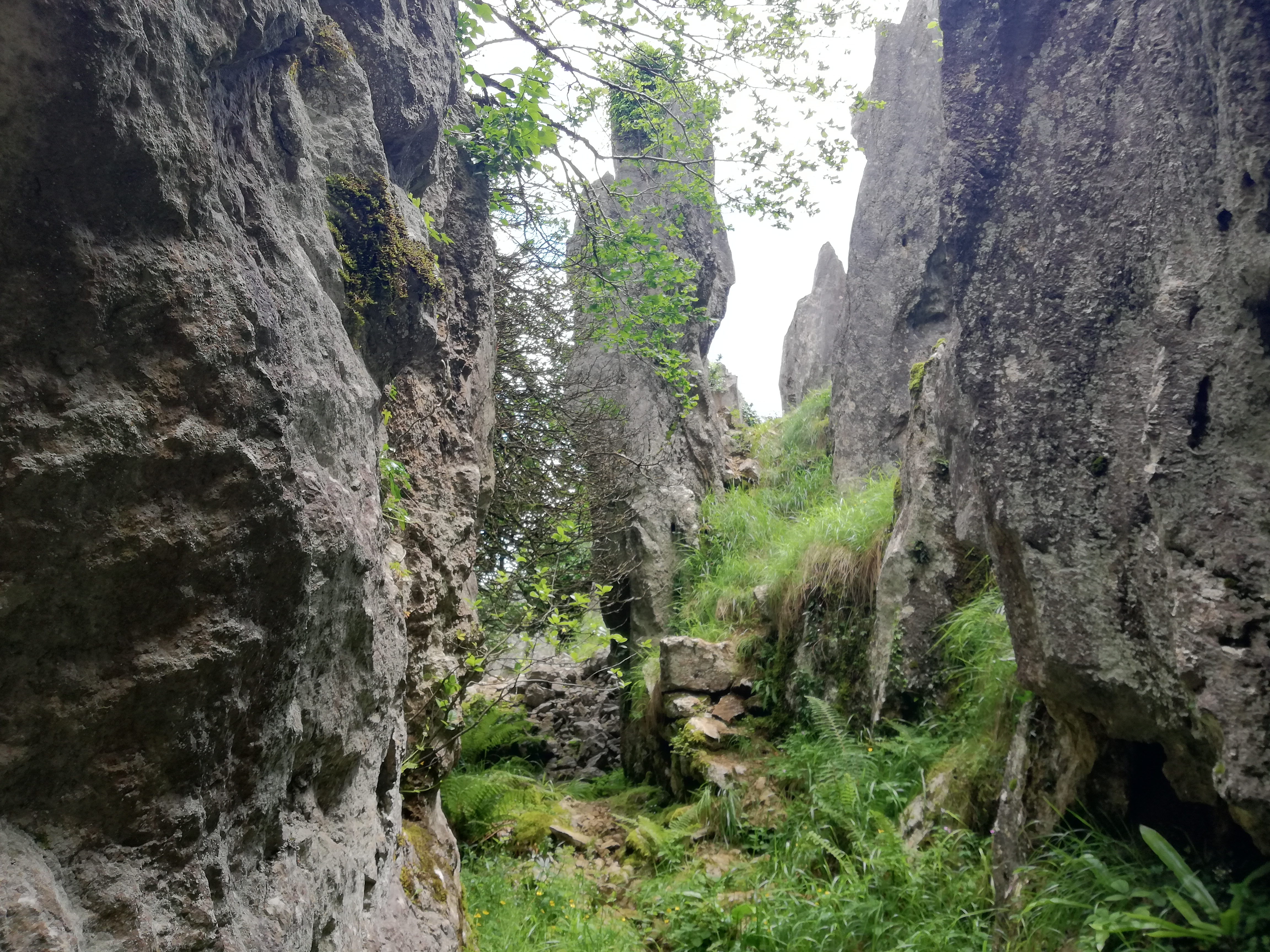 5- Gongetako Meatzeak (abuztuak 24)