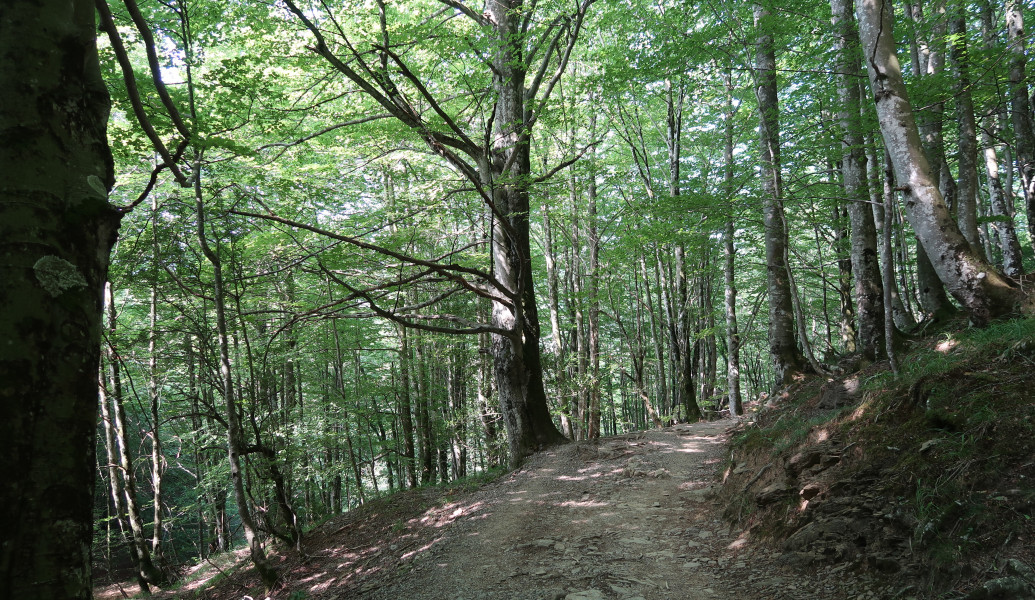 urbiako-senda-03
