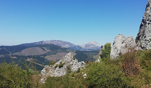 Hartzaren-Urratsa Hartzaren-Urratsa