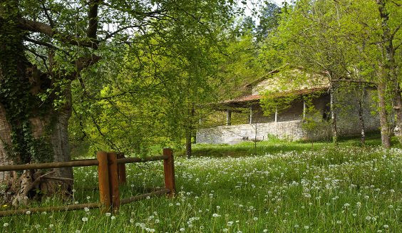 bergarako-gerriko-berdearen-bira-01 bergarako-gerriko-berdearen-bira-01