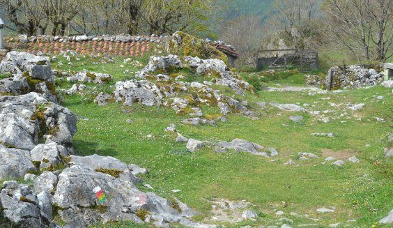 gaztaren-ibilbidea-03 gaztaren-ibilbidea-03