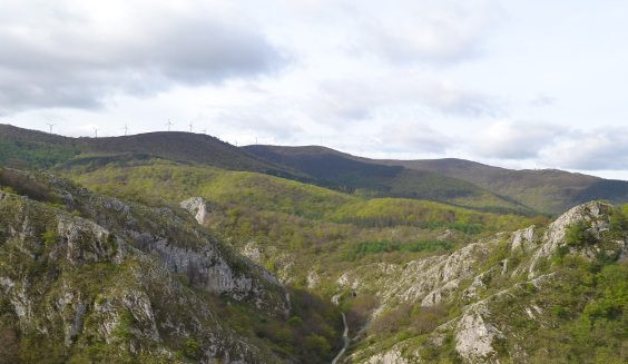 larrez-larre-01 larrez-larre-01