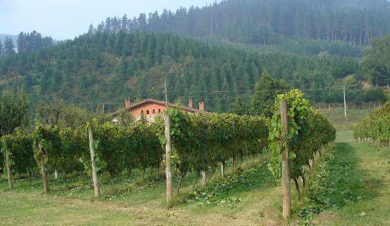 arrasate-onati-02 arrasate-onati-02