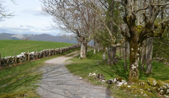 lehen-etapa-loiola-antioko-baseliza-01 lehen-etapa-loiola-antioko-baseliza-01