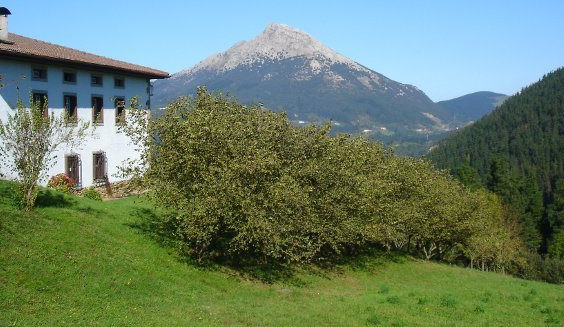 arrasate-arantzazu-erromesbidea-04 arrasate-arantzazu-erromesbidea-04