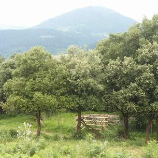 kurutzetxikiko-bira-01 kurutzetxikiko-bira-01