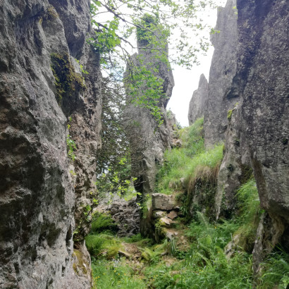 5- Gongetako Meatzeak (abuztuak 24)