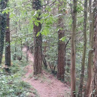 Anporreta-01 Anporreta-01