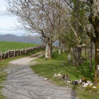 lehen-etapa-loiola-antioko-baseliza-01 lehen-etapa-loiola-antioko-baseliza-01