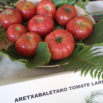 20160924_115335 20160924_115335