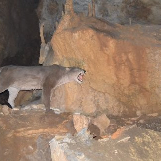 arrikrutz-onatiko-kobak-01