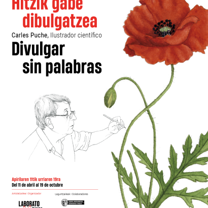 Hitzik gabe dibulgatzea